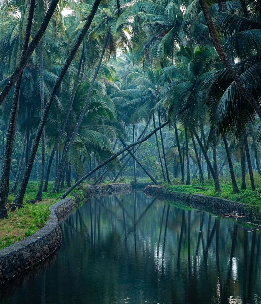 NatGeoTravellerIndia tweet media