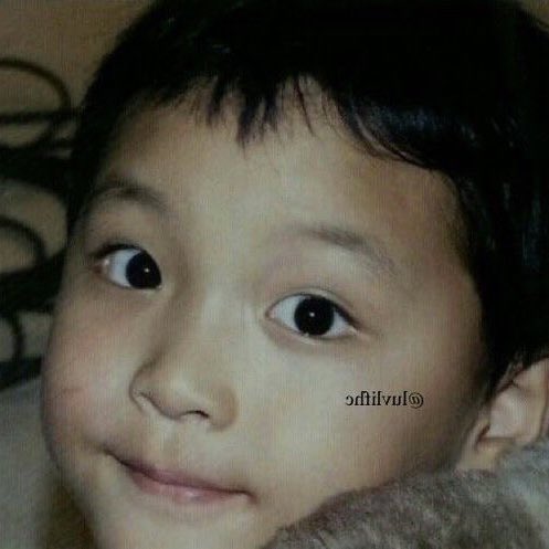 ohpin66's tweet photo. 째끄미 곰돌이.. https://t.co/jBI4WEcij6