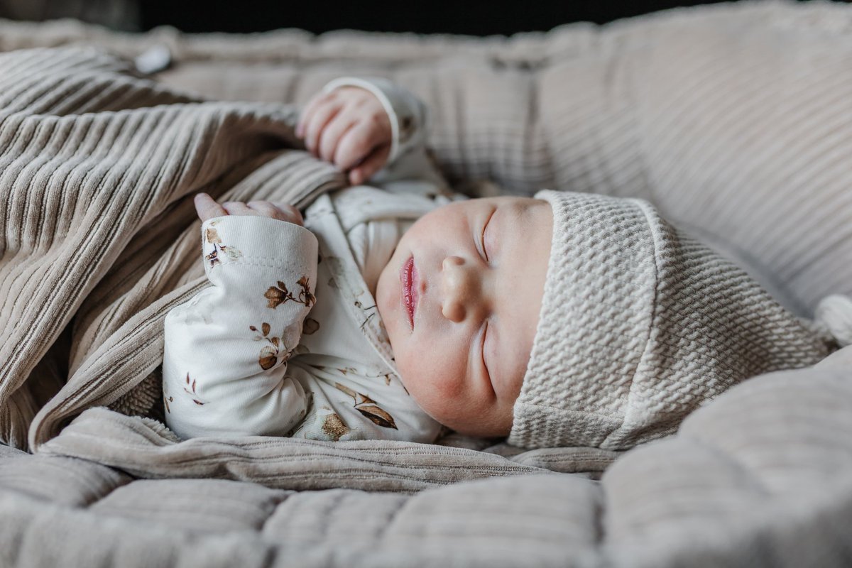 Silvan Hardeman tweet media