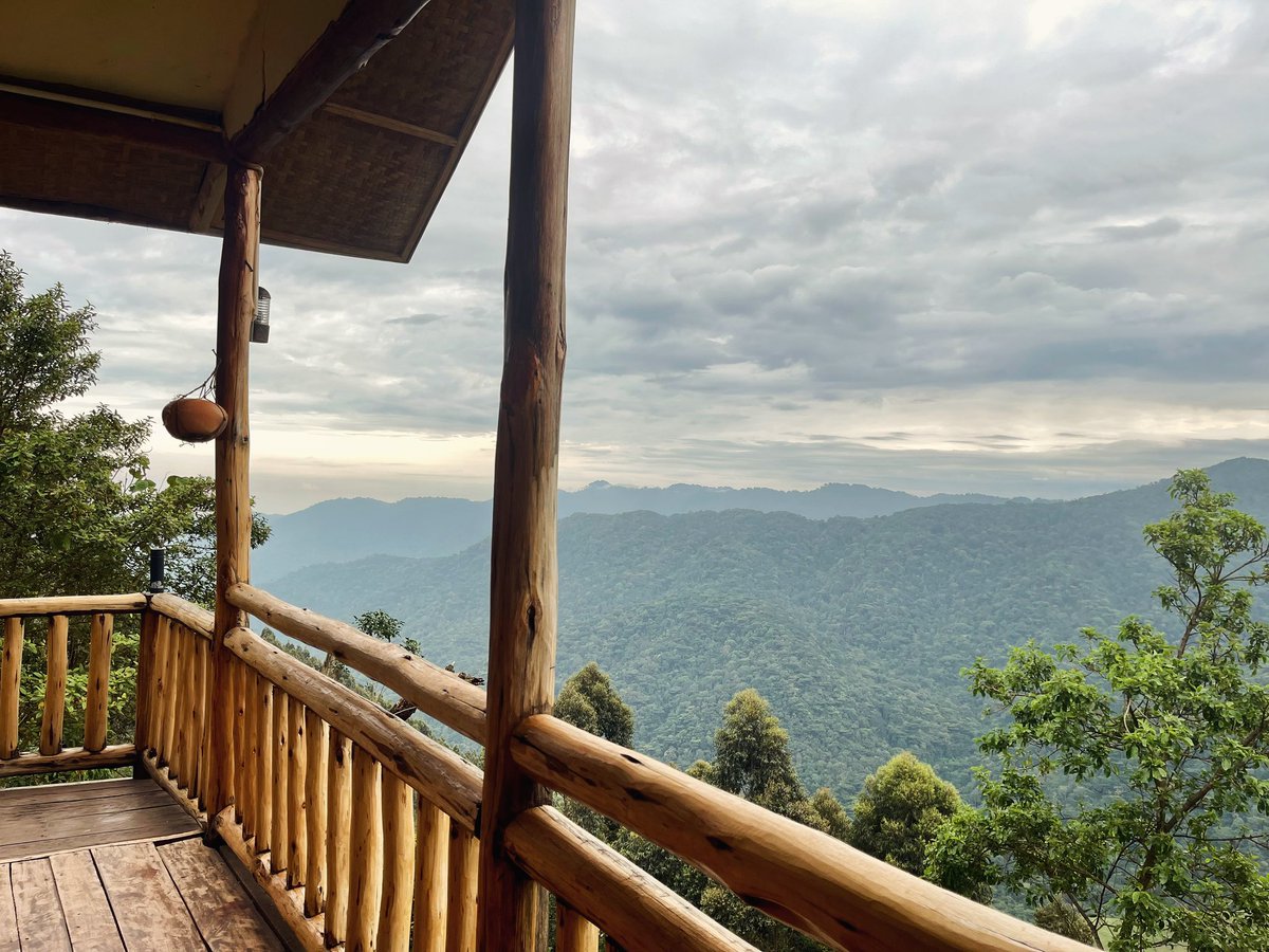 DiscoveryJourn5's tweet photo. Orugano Lodge in the Nkuringo Sector of the Bwindi Impenetrable Forest is the best place to base when exploring the park on exclusive discovery Journeys. 

The lodge is intimate with 8 Cottages that overlook the forest and the Virunga Mountains. https://t.co/QCxQEtJsKR