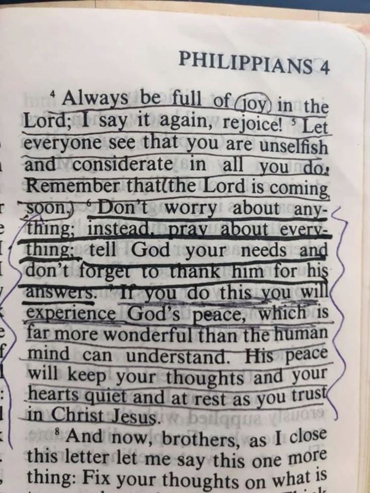 Bible 365 (@bible365_) on Twitter photo 