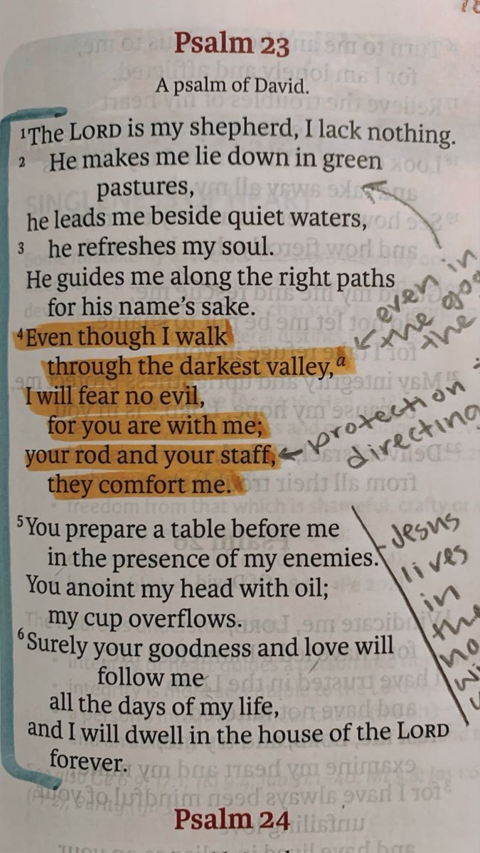 Bible 365 (@bible365_) on Twitter photo  Bible 365 (@bible365_) on Twitter photo