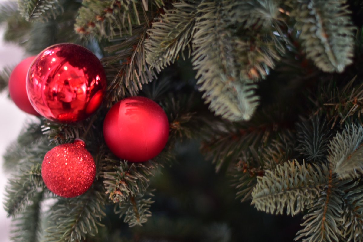 Christmas coming soon 🎄🎅🏻