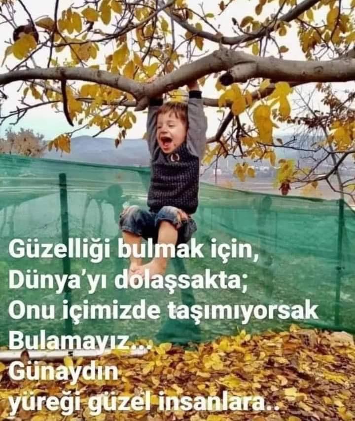 veyaAynur's tweet photo. Günaydın hayırlı sabahlar 😊 

Hesabım hala düzelmedi tahmini ne zaman düzelir🤔 takıpci  eklemek istedikçe sınıra ulaştınız mesajı geliyor surekli https://t.co/SfohckInyL