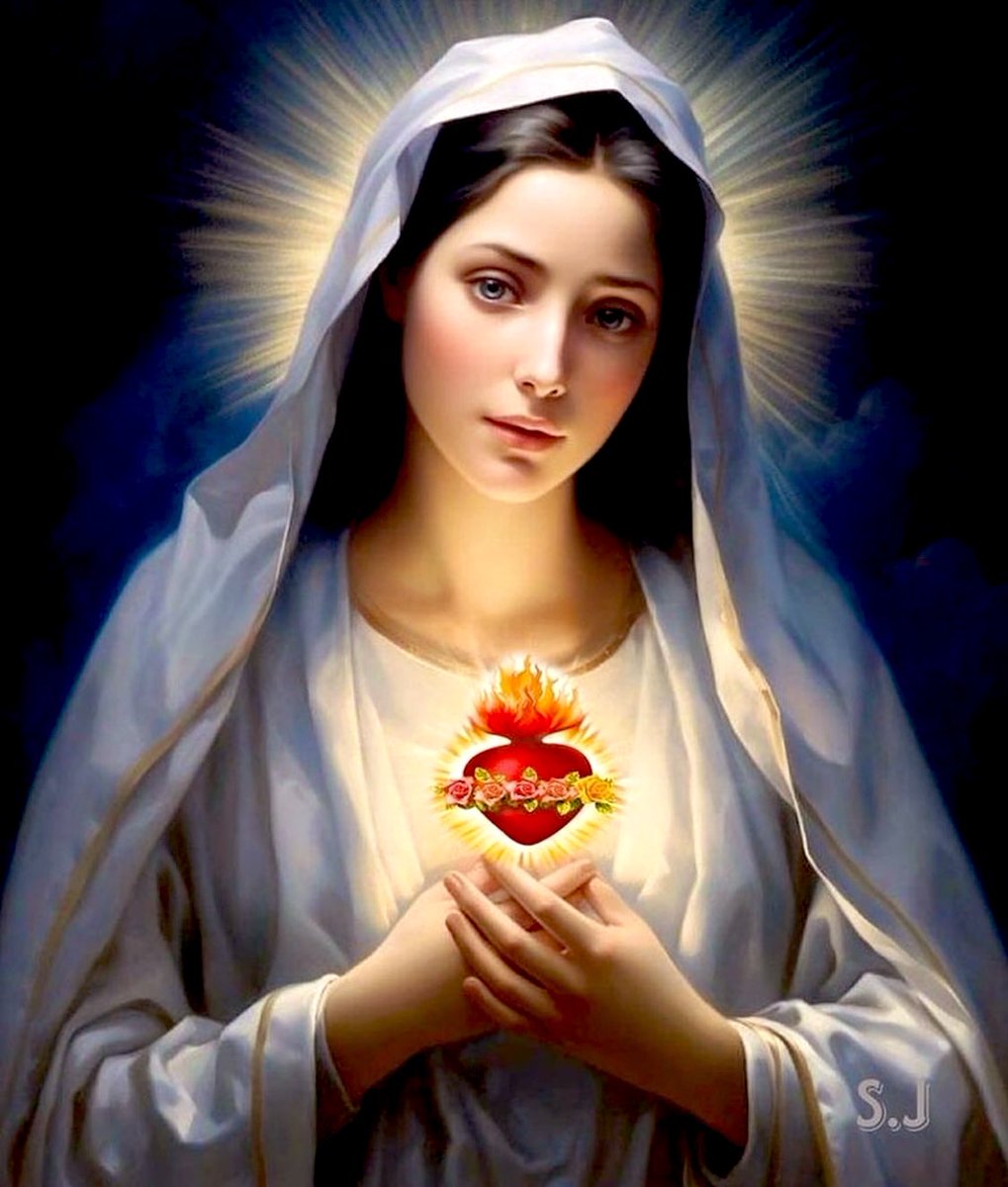 يا مريم العذراء الحنونة، لم يُسمع أنَّ أحداً إلتجأ إلى حمايتك وطلب معونتكِ والتمس شفاعتكِ ورُدّ خائباً.. أنا ابنك، أتقدّم إليك بهذا الرجاء وبهذه الثقة، وأرتمي على قدميك رامياً همومي ومتاعبي، مُلتجئاً إلى حضنك، فلا تردّي تضرعاتي، بل استجيبيها وخففي أوجاعي والالامي