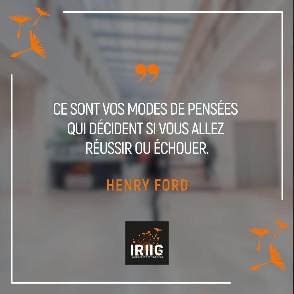 IRIIG - School for Business & Innovation tweet media