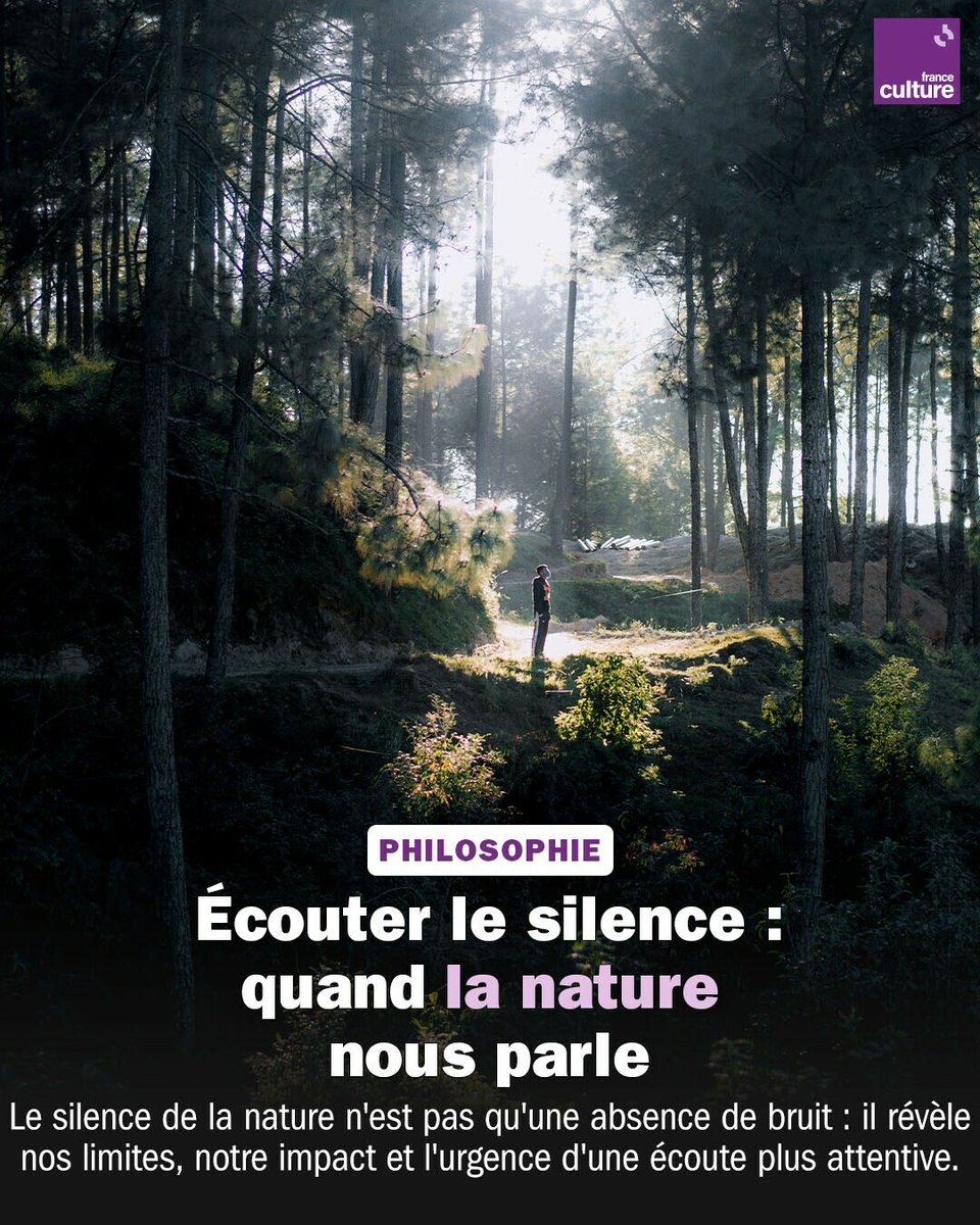 Ce que nous appelons le silence de la nature pourrait révéler notre incapacité à écouter ou notre négligence.
➡️ l.franceculture.fr/BKU