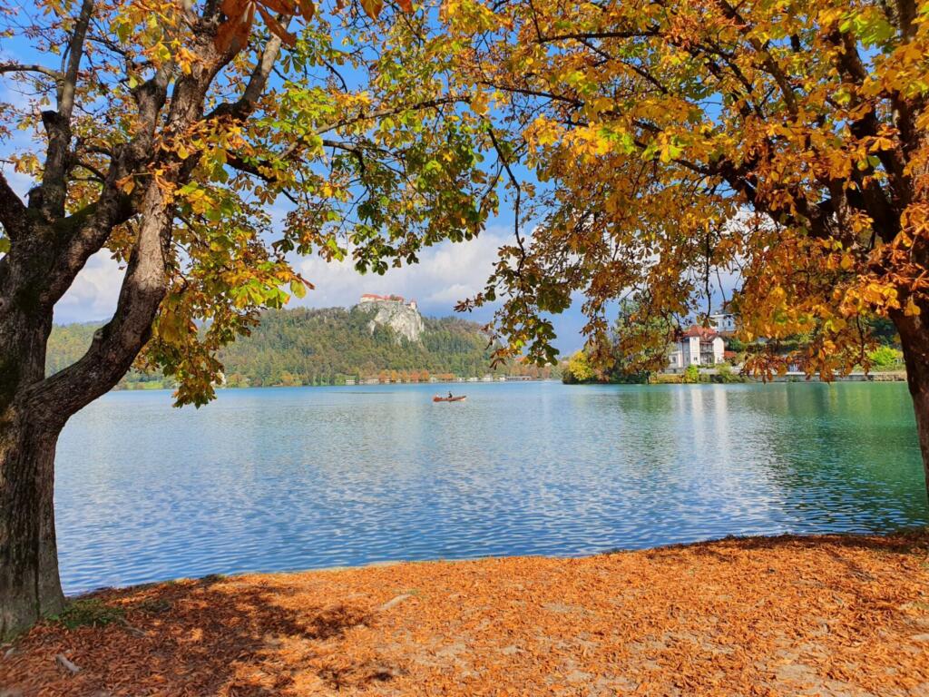 RJonTourUK tweet media