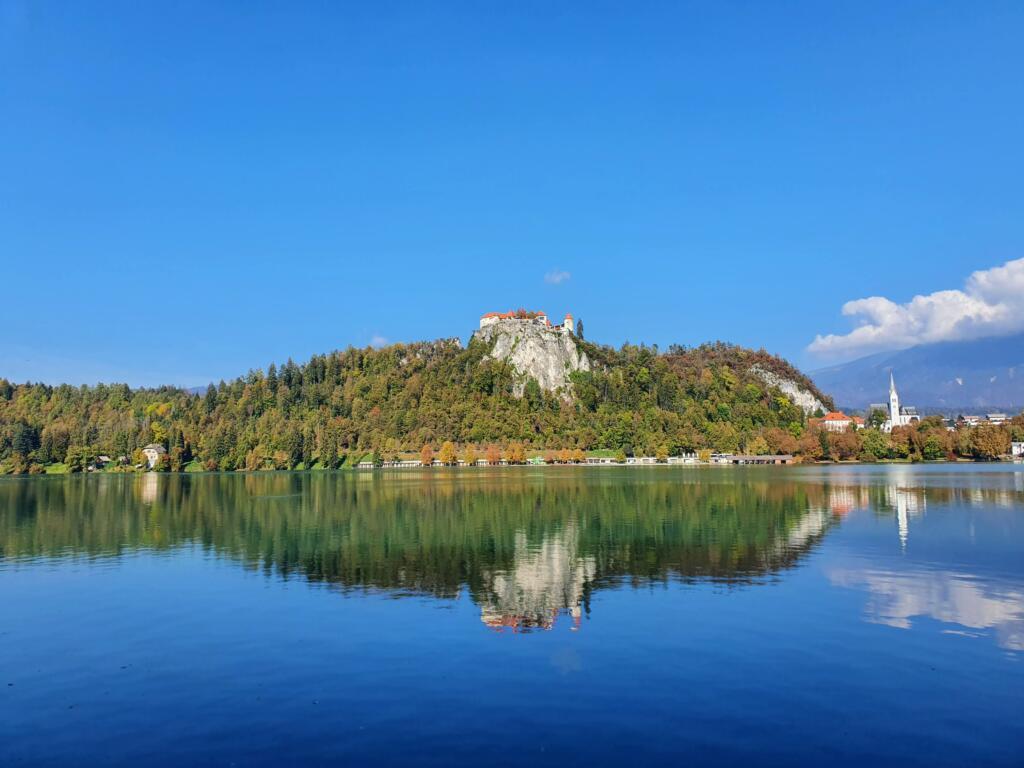 RJonTourUK tweet media