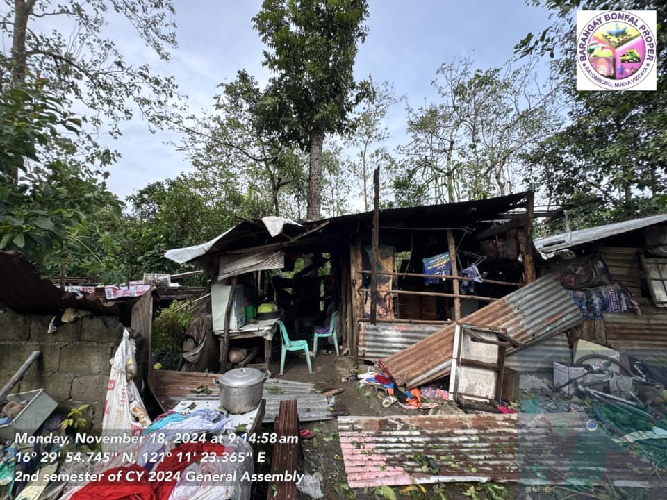 rapplerdotcom's tweet photo. Barangay Bonfal Proper, Bayombong, Nueva Vizcaya monitors knee- to waist-deep floods, damaged houses, and uprooted trees on Monday, November 18, in the wake of Super Typhoon Pepito. 📸: Barangay Bonfal Proper | via Christopher Go

#PepitoPH LIVE UPDATES: https://t.co/EKQSsjSvcf https://t.co/Pvc3CjjTnB