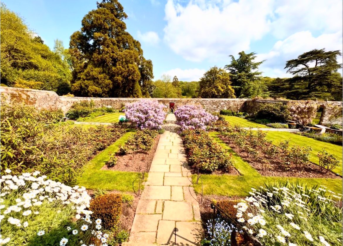 HeadGardenerCPL's tweet photo. 🚨Job Vacancy Alert🚨

Come and join me and the team in the garden at Chartwell and help us to care for this special place of considerable historic significance. For more information search ‘NT Jobs’ and use reference code ‘IRC157957’

#chartwell #gardeningjobs #horticulturejobs https://t.co/SkIS2xyy7B