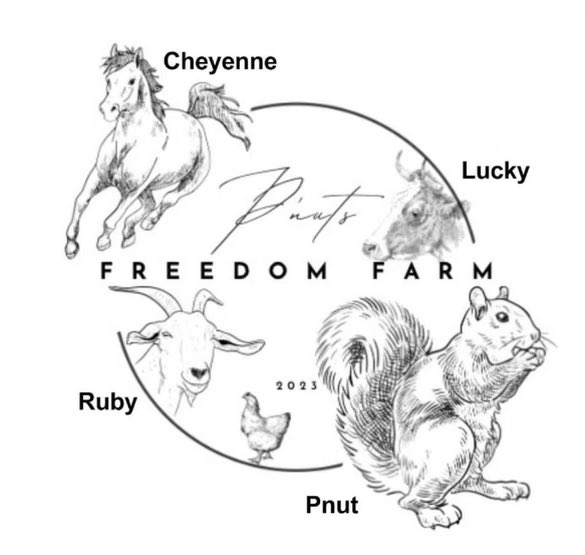 JimiSendrix69's tweet photo. @RickyWeb3_ GM 🔥
If you’re $LUCKY you’ll pick up a bag of 🐮under $1m mc and diamond hand it to life changing money😎
#LUCKY will make a $PNUT $RUBY $FRED #CHAYENNE like run this week, DO NOT miss it🚀
BDxcp34uwmkpsawyGjvt53cKbwrAeCtUtYZnY3kMpump
Distribution is perfect to send 🚀 https://t.co/T6fu71Dom4