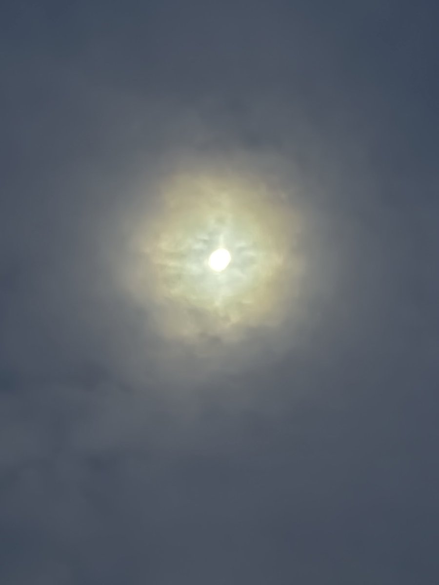 qooᴎꙄʏqooᴎꙄɘʜT (@thesnoopysnoop) on Twitter photo #sunrise isn’t for another hour yet and look at that colour 👀
#Moon floating behind clouds over on the west #sunrise isn’t for another hour yet and look at that colour 👀
#Moon floating behind clouds over on the west