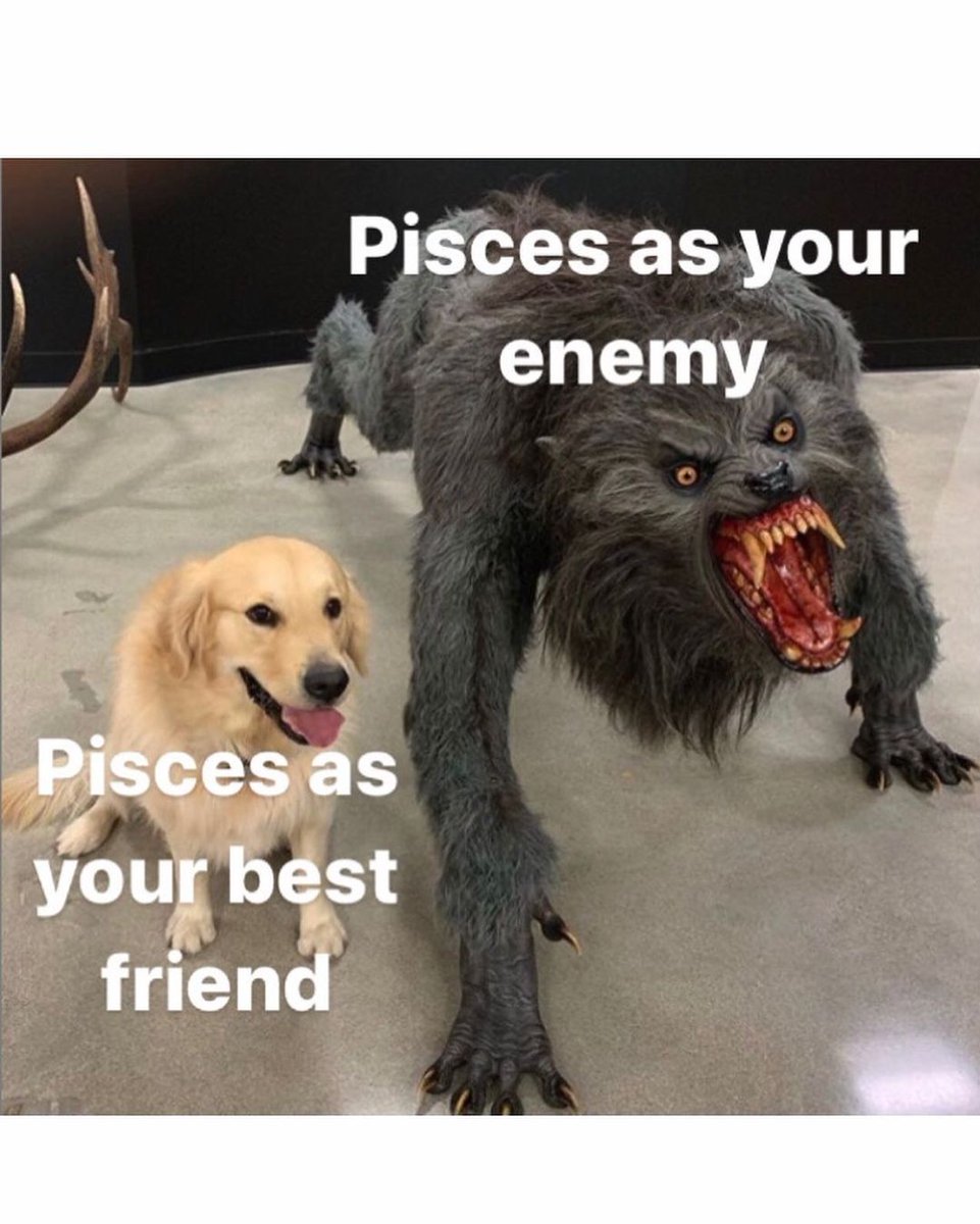 PiscesPosse's tweet image. #Pisces Life