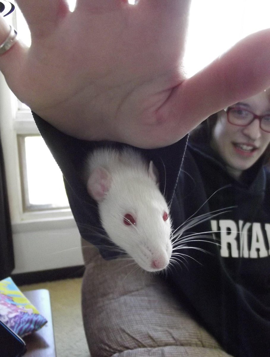 15 y/o photo of me and my rat. Her name was Alice 🐀