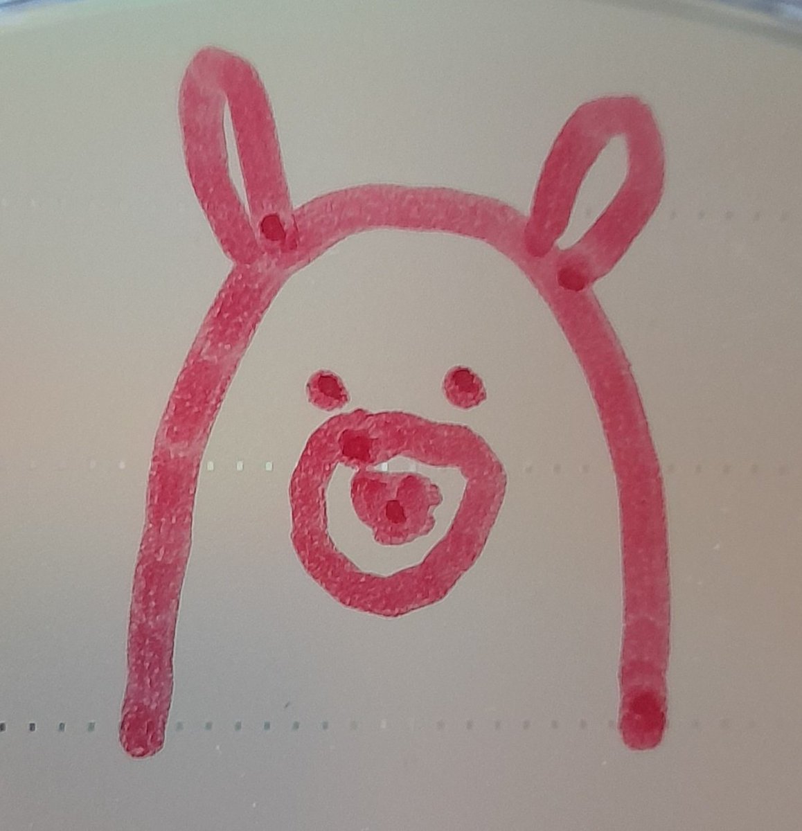 Srta_Proxy (@proxy2077) on Twitter photo 