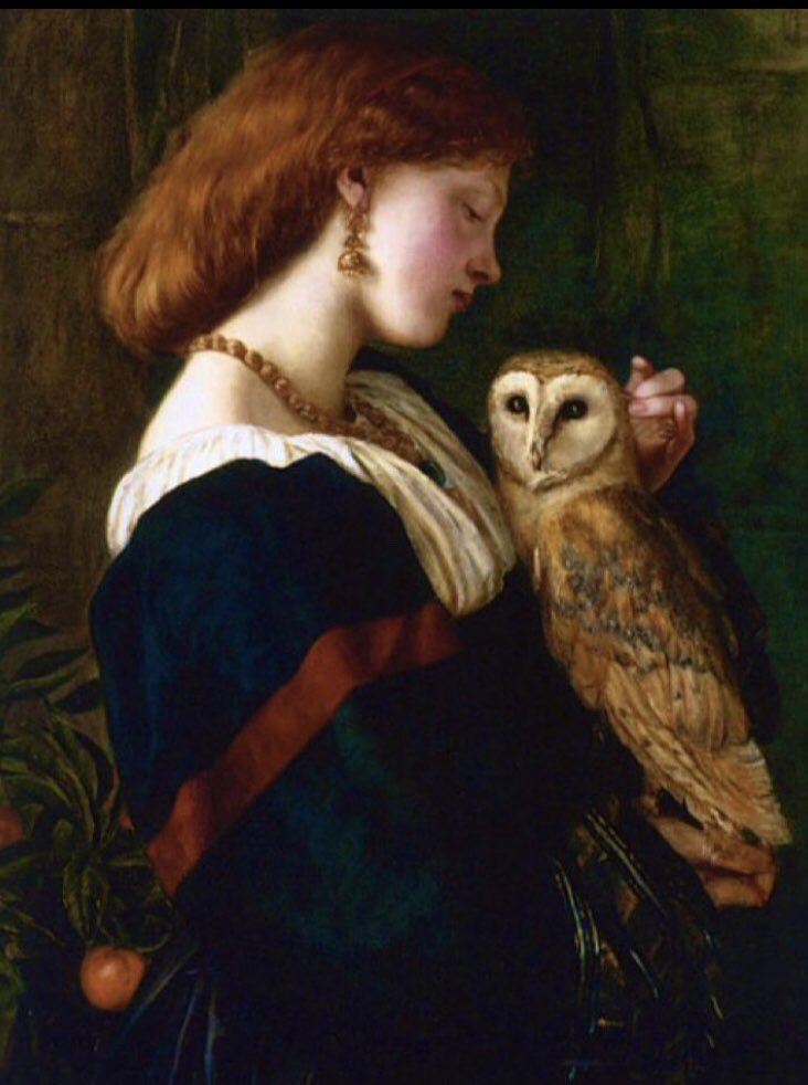 Maude Frome tweet media