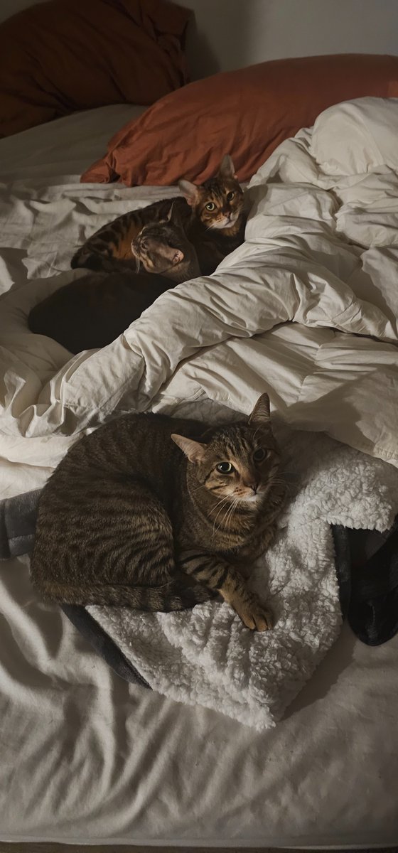 Pretty sure they are judging me