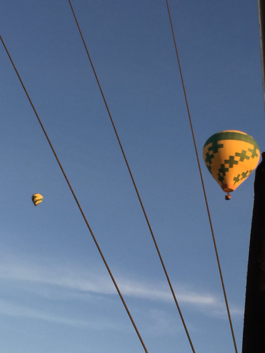 Shallow___py's tweet image. 꽃들은 늘 예쁘다.