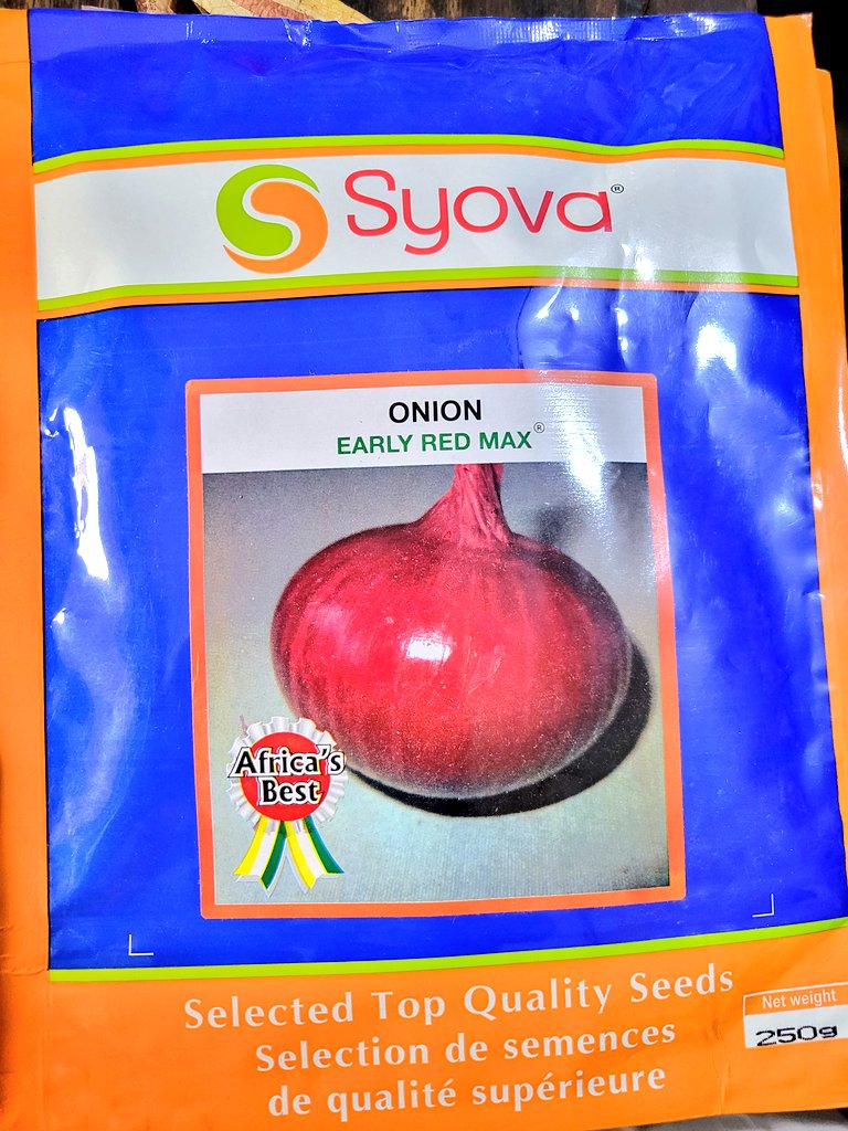AdyeeriHannah's tweet photo. Seeds are available. https://t.co/CUrA7oe3Fn
