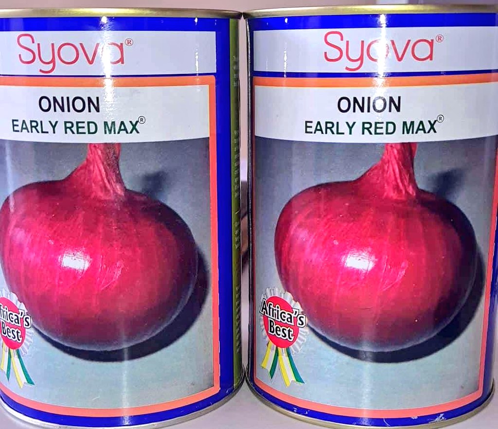 AdyeeriHannah's tweet photo. Seeds are available. https://t.co/CUrA7oe3Fn