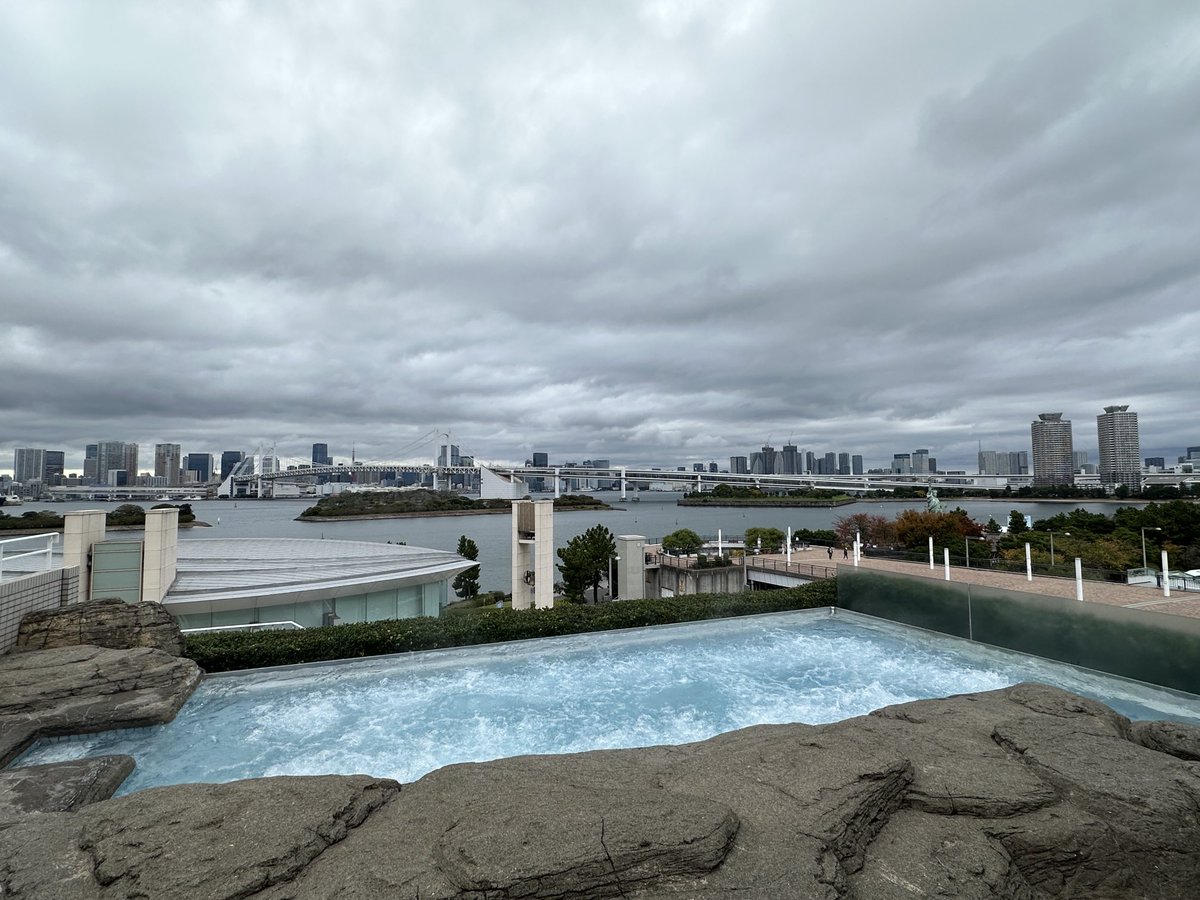 HannahVaughan91's tweet photo. Not a bad pool to get a 3km swim done 🏊🏼‍♀️ the hot tub views afterwards were pretty decent too ☺️🗼 #tokyo #odaiba #swimming #tritraining #triathlon https://t.co/ZlP9IoKWOL