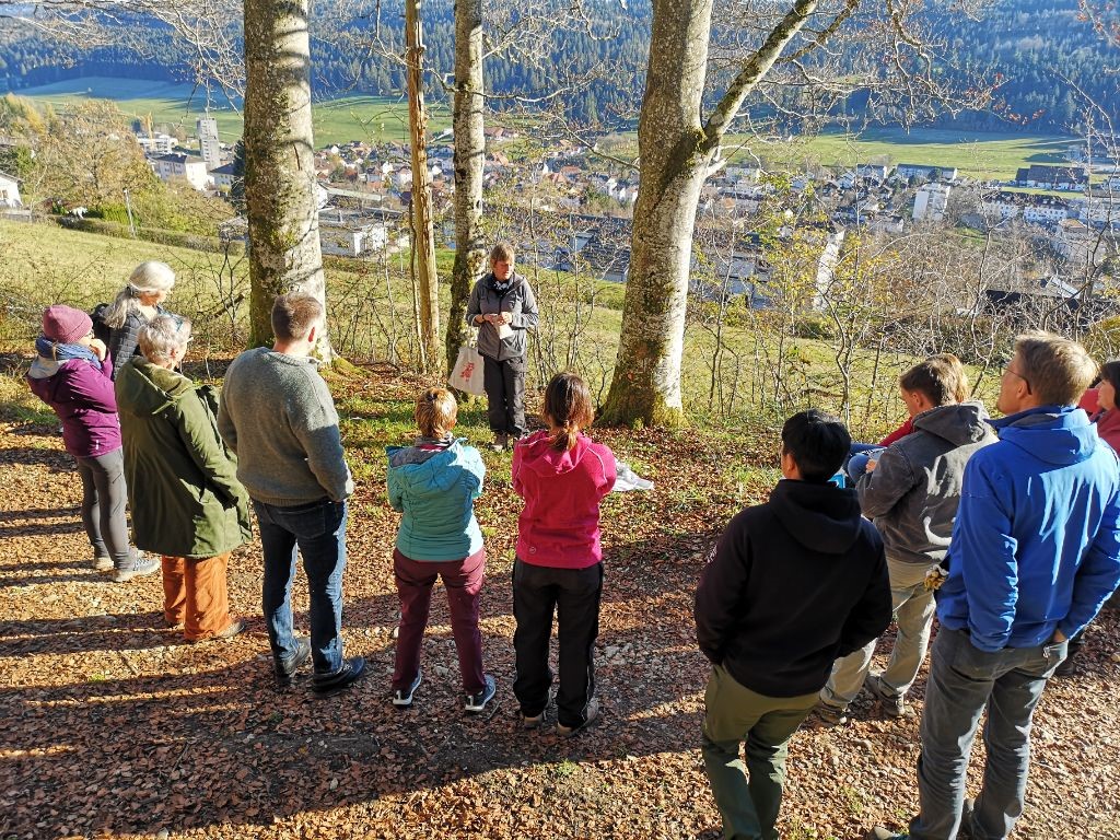 Sous un magnifique ☀️ automnal, une douzaine d'enseignant-es de la HEP BEJUNE ont suivi  samedi à Tramelan une formation de création d'abris pour la petite faune, avec le #ParcChasseral 

#parcssuisses #biodiversite 🌱 #hotelinsectes 🐝 #tramelan #grandchasseral #hepbejune