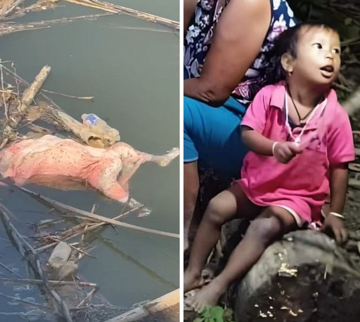 Humanity is dead in #Manipur 

Xtan Kukis have brutally murdered the abducted six meitei hindus which include four women and two Kids, one 8 months old and the other 2 years 

Reportedly,  both the kids were subjected to unimaginable brutality.

 A 2 year old meitei boy was found