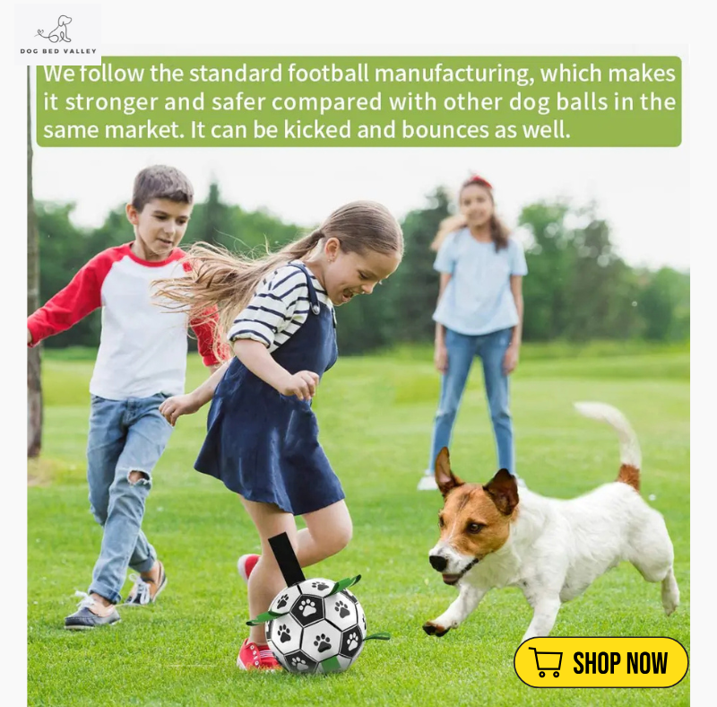 dogbedvalley's tweet photo. ⚽️🐶 Is your furry friend ready for the ultimate playtime? Our Soccer Ball Dog Toy is built for those energetic pups who love to fetch! 🏃‍♂️ Let the games begin and keep your dog active! What’s their favorite sport? Show us your pup’s playtime!

Shop Now: https://t.co/SHWVpi99Jr https://t.co/2imdXnEJ2M