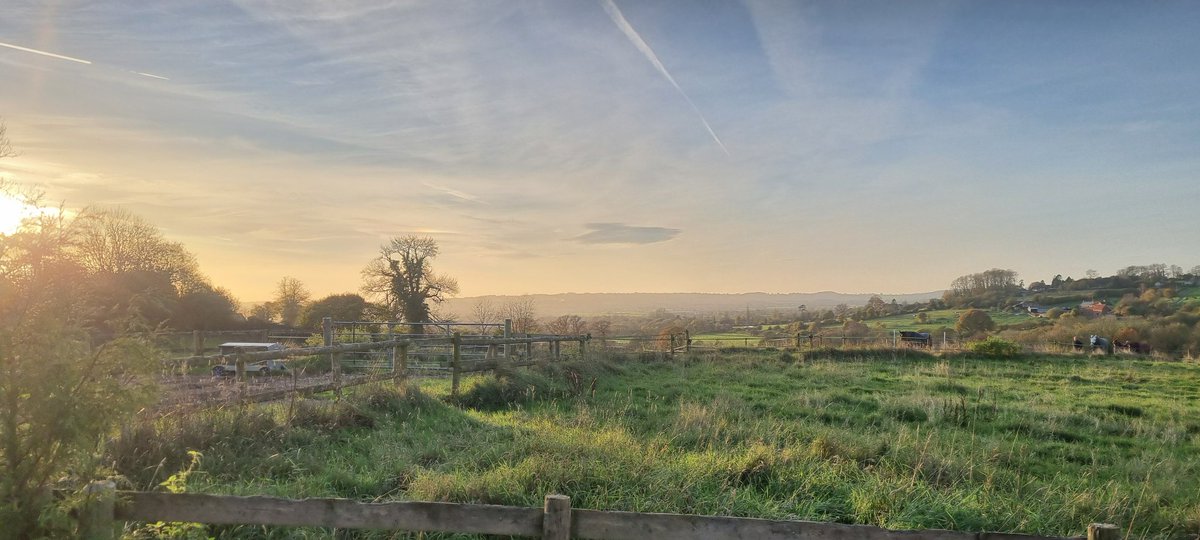 GroupKraken's tweet photo. Morning, mesmerizing sunrise views illuminate our site where we're diligently working on a project for a new client. Our focus is on setting up haul roads to facilitate access to the primary worksite and installing bog mat platforms to ensure ground protection and plant stability https://t.co/Axcit0ocB9