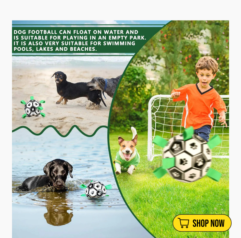 dogbedvalley's tweet photo. ⚽️🐶 Is your furry friend ready for the ultimate playtime? Our Soccer Ball Dog Toy is built for those energetic pups who love to fetch! 🏃‍♂️ Let the games begin and keep your dog active! What’s their favorite sport? Show us your pup’s playtime!

Shop Now: https://t.co/SHWVpi99Jr https://t.co/2imdXnEJ2M
