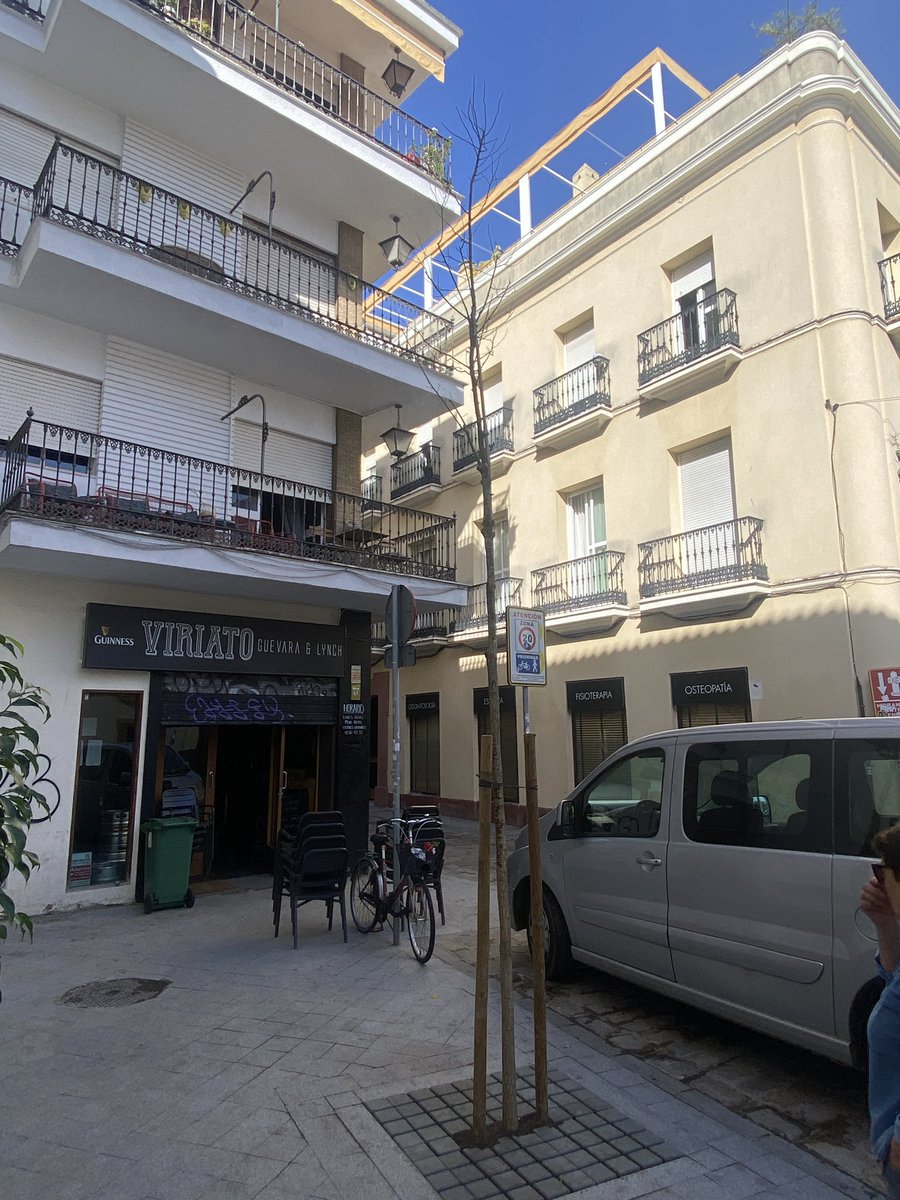 jeswonehouse's tweet photo. El @Ayto_Sevilla está utilizando estas cuerdas para entutorar árboles muy altos. Me pregunto cuánto durará este tipo de cuerda sin degradarse, porque estos árboles tan altos necesitarán sostén durante bastante tiempo #Sevillahoy https://t.co/fmEMIL9Rbb