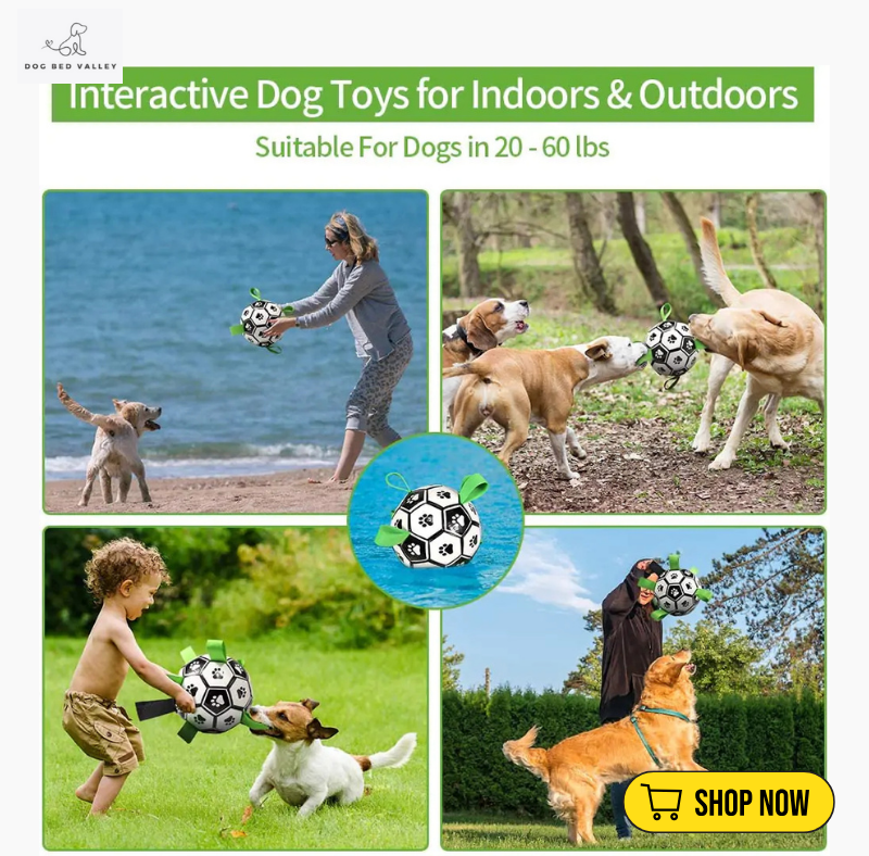 dogbedvalley's tweet photo. ⚽️🐶 Is your furry friend ready for the ultimate playtime? Our Soccer Ball Dog Toy is built for those energetic pups who love to fetch! 🏃‍♂️ Let the games begin and keep your dog active! What’s their favorite sport? Show us your pup’s playtime!

Shop Now: https://t.co/SHWVpi99Jr https://t.co/2imdXnEJ2M