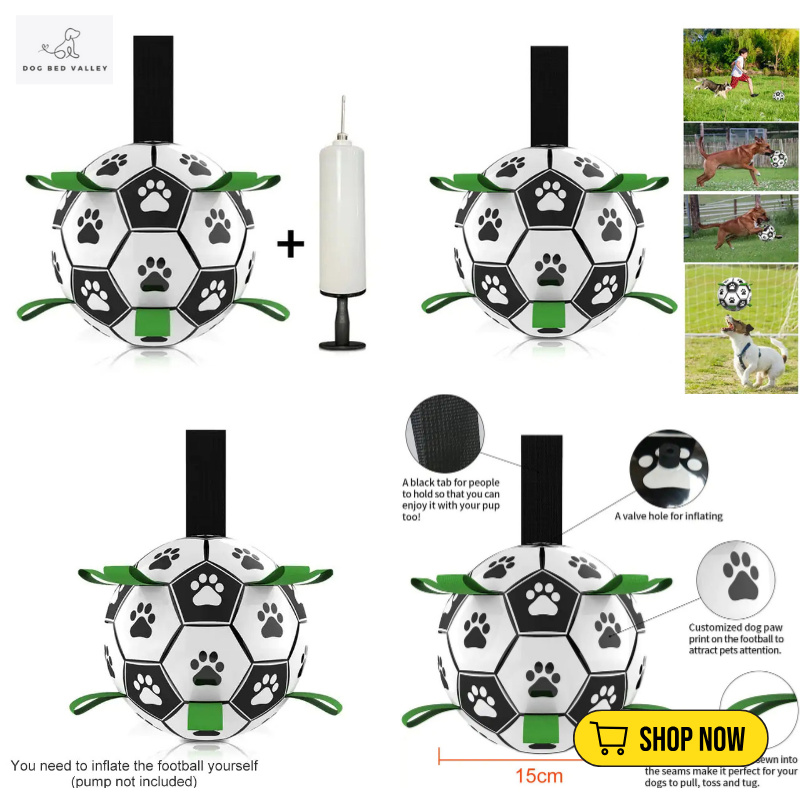 dogbedvalley's tweet photo. ⚽️🐶 Is your furry friend ready for the ultimate playtime? Our Soccer Ball Dog Toy is built for those energetic pups who love to fetch! 🏃‍♂️ Let the games begin and keep your dog active! What’s their favorite sport? Show us your pup’s playtime!

Shop Now: https://t.co/SHWVpi99Jr https://t.co/2imdXnEJ2M