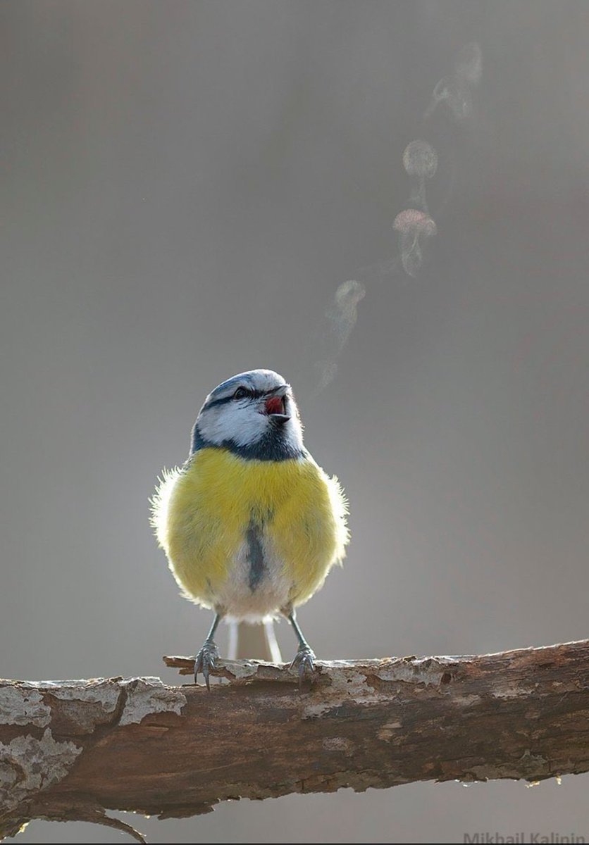 Slowly joining the migration over to BlueSky - come say hi 🐦

bsky.app/profile/edgood…