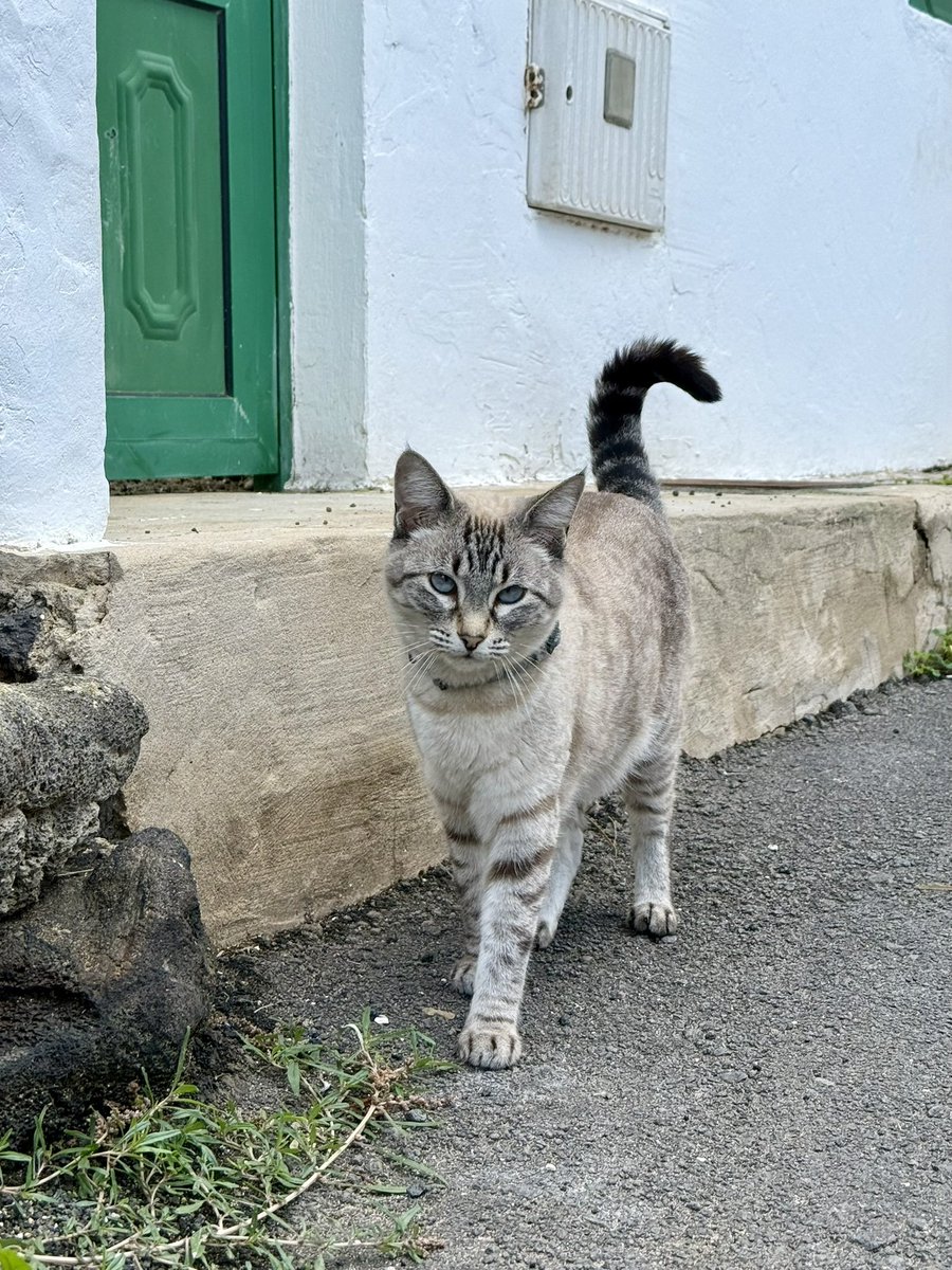 Frank Jongejan 🗽 (@frankjongejan) on Twitter photo 