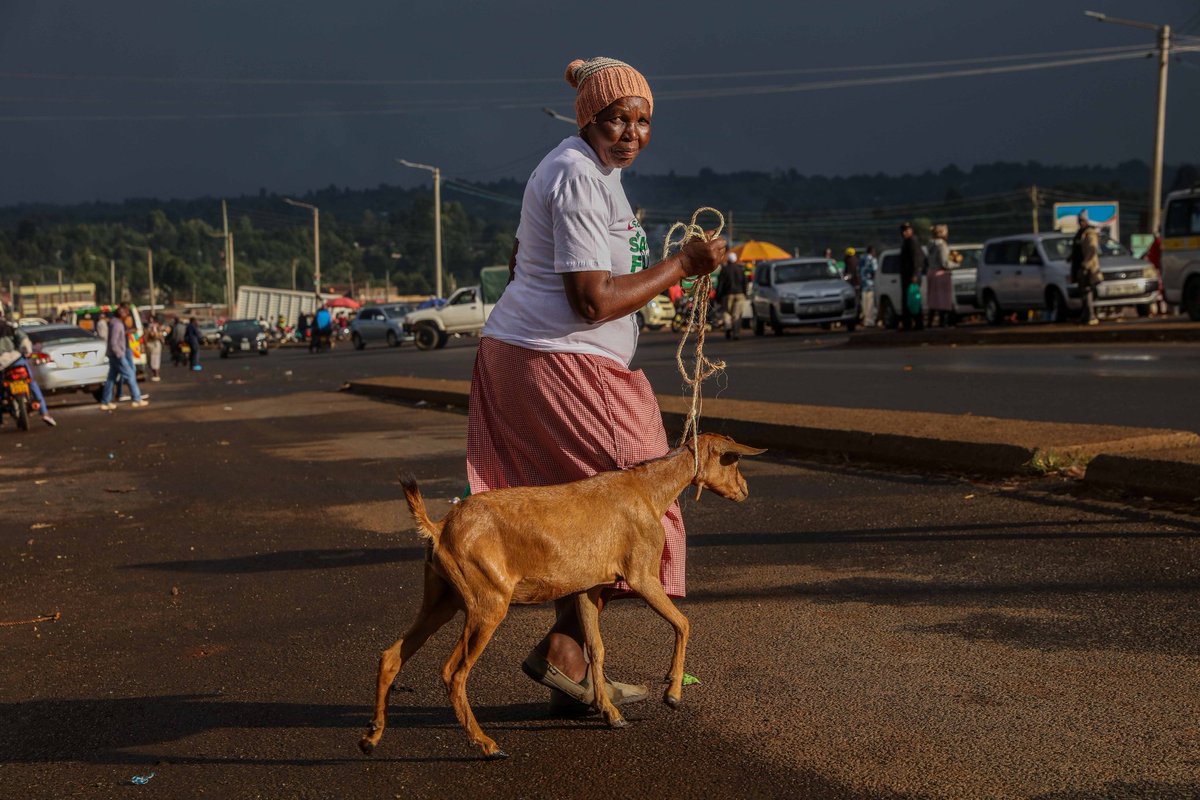IceTrev's tweet photo. Watu wa Murima mko ready? This week Safaricom caravan inaingia mountain region to spread cheer and happiness during the festive season na wanakam na doba mbaya na rewards and surprises kama live goats, chicken, food hampers na magoodies kibao usipitwe #SambazaFurahaNaSafaricom https://t.co/P3MAiXHasP