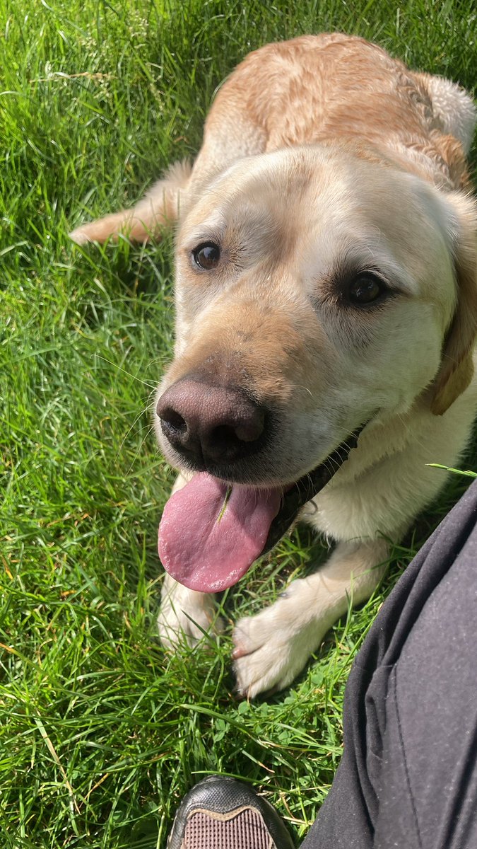 Shane Bergin tweet media