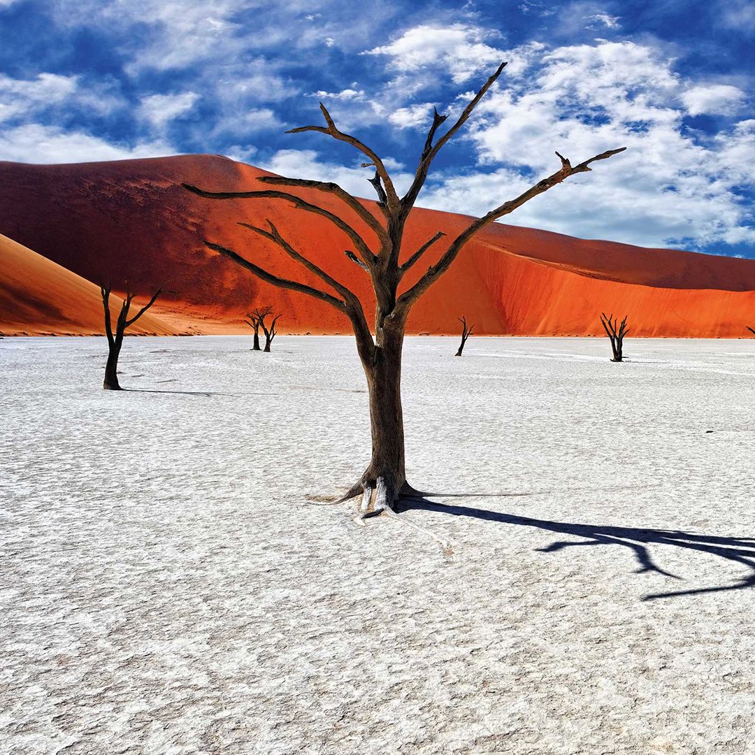 Discover Namibia’s stunning landscapes and diverse wildlife! 🏜️🌅 
Journey from the vast Kalahari and Namib deserts, through Fish River Canyon, to the coast at Swakopmund. Explore ancient rock carvings in Damaraland and marvel at the wildlife in Etosha NP. buff.ly/4fPufnL