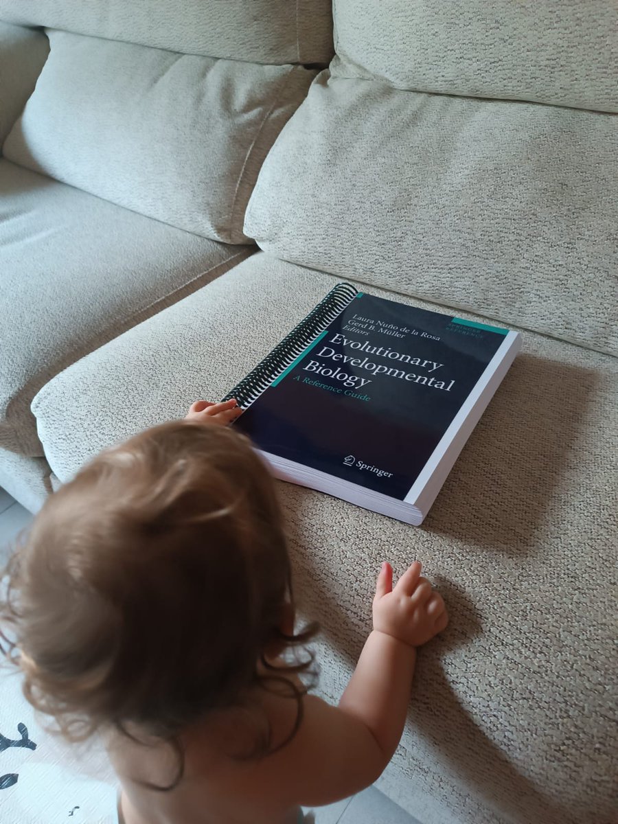 Ferron_HG's tweet image. My little juvenile learning about other juveniles... Raising the next generation of evo-devo enthusiasts? 🤓 #EvoDevo
