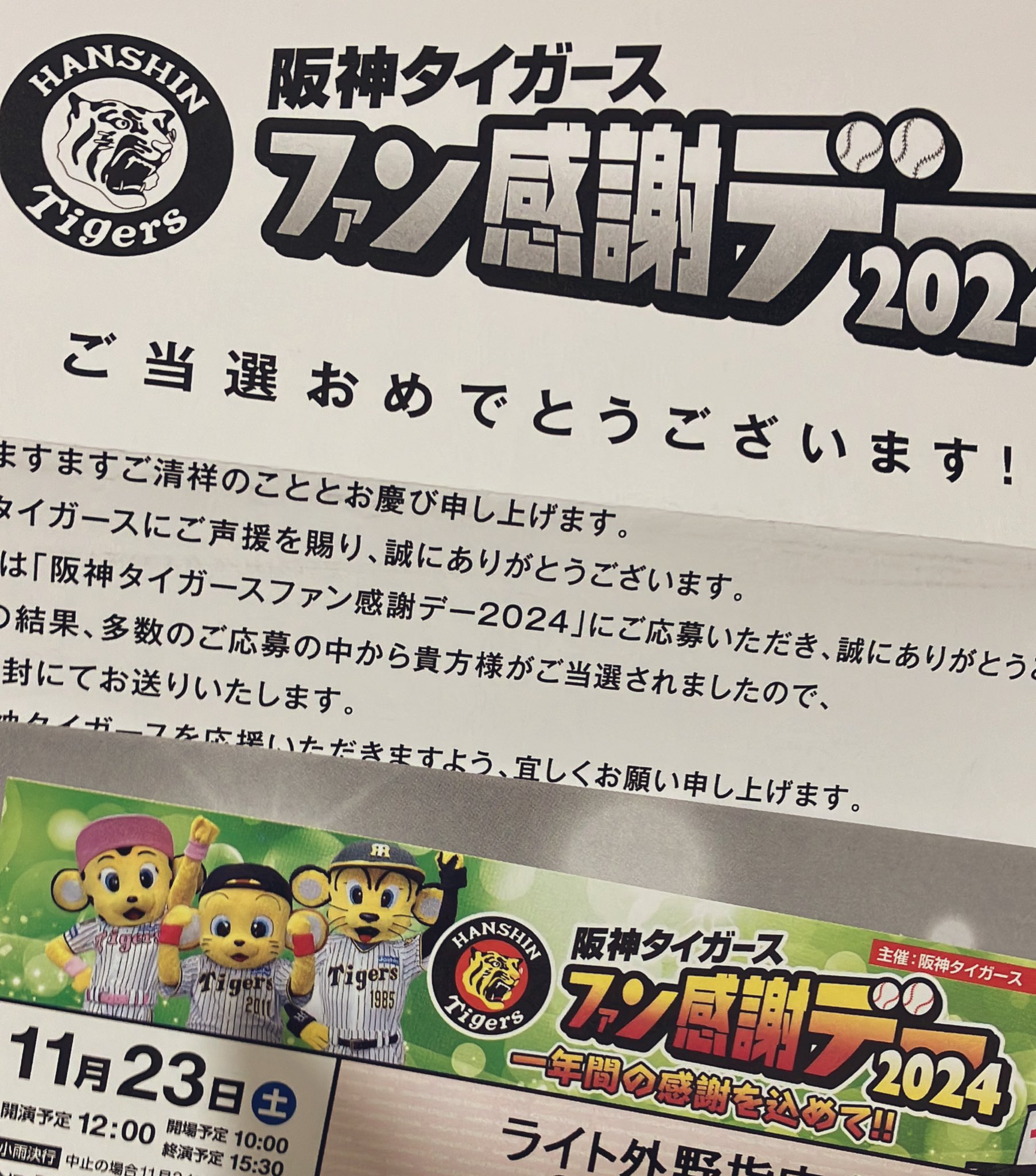 阪神タイガース ファン感謝デー2024 思ふ