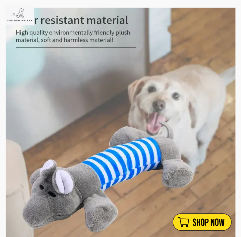 dogbedvalley's tweet photo. 🏆 Your pup deserves the BEST! Our Squeaky Plush Dog Toy is made from chew-resistant materials, ensuring fun and safety!💕 Which design would your dog love? Let’s see your photos! 👉

Shop Now: https://t.co/ybpG6oqyxu https://t.co/Y7FJgfXNUY