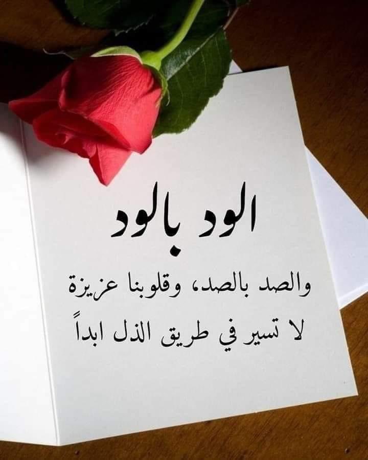 لا تشتاق لمن إستغنى عنك
فمن كان لك عابراً كن له بائعاً
وضع الأشياء في مكانها الصحيح
فلا تضع الرخيص في مكان الغالي 
ولاتهتم بمن لايستحق الاهتمام 
إرحل عن من رحل عنك
واهتم بمن يهتم بك
وتجاهل من يتجاهلك 
وكن مع من يستحقك ،،،!  #ابد_مو_مقصوده