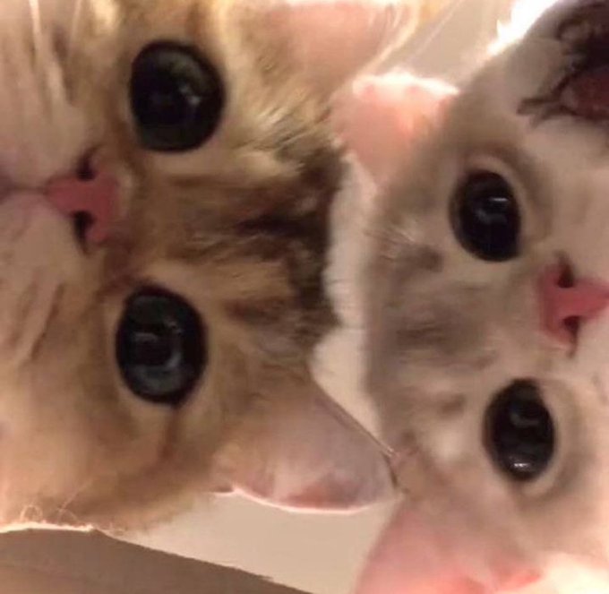 Hey there, hang tight for $Taca! 😊✨