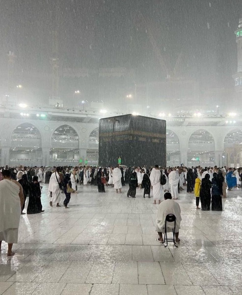 Al__Quraan tweet picture