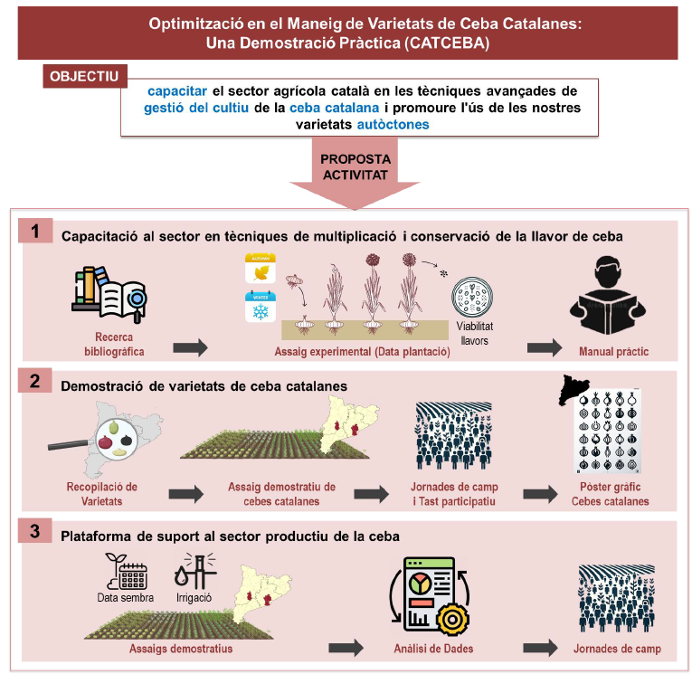 FMAoficial's tweet photo. 🧅🌱 Presentem el projecte CATCEBA! Amb @agriculturacat i @ruralcat, treballem per preservar les varietats de #CebaCatalana amb tècniques sostenibles. 🌍 Formació i suport per enfortir l’agricultura local! #DemosPATT Més info ⤵️
https://t.co/f5yWDEwGFq https://t.co/3qNRtW5zNJ