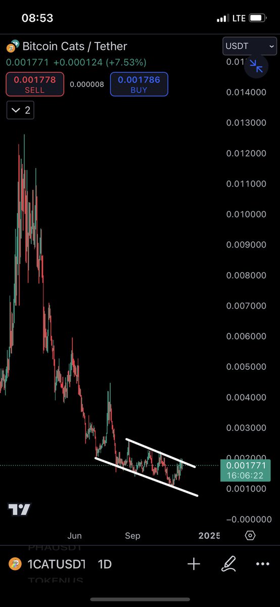 BEASTMODE_FX's tweet photo. $1CAT
WHAT CAN YOU SEE πππ
#1CAT #BITCOINCAT https://t.co/0QCQmtipfj