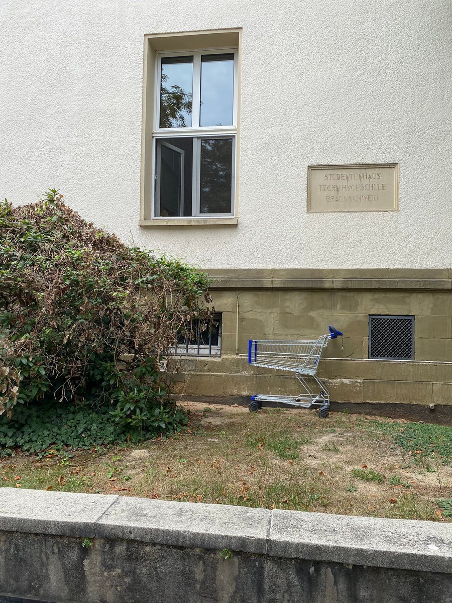 #Einkaufswagenkunst #Braunschweig #Deutschland