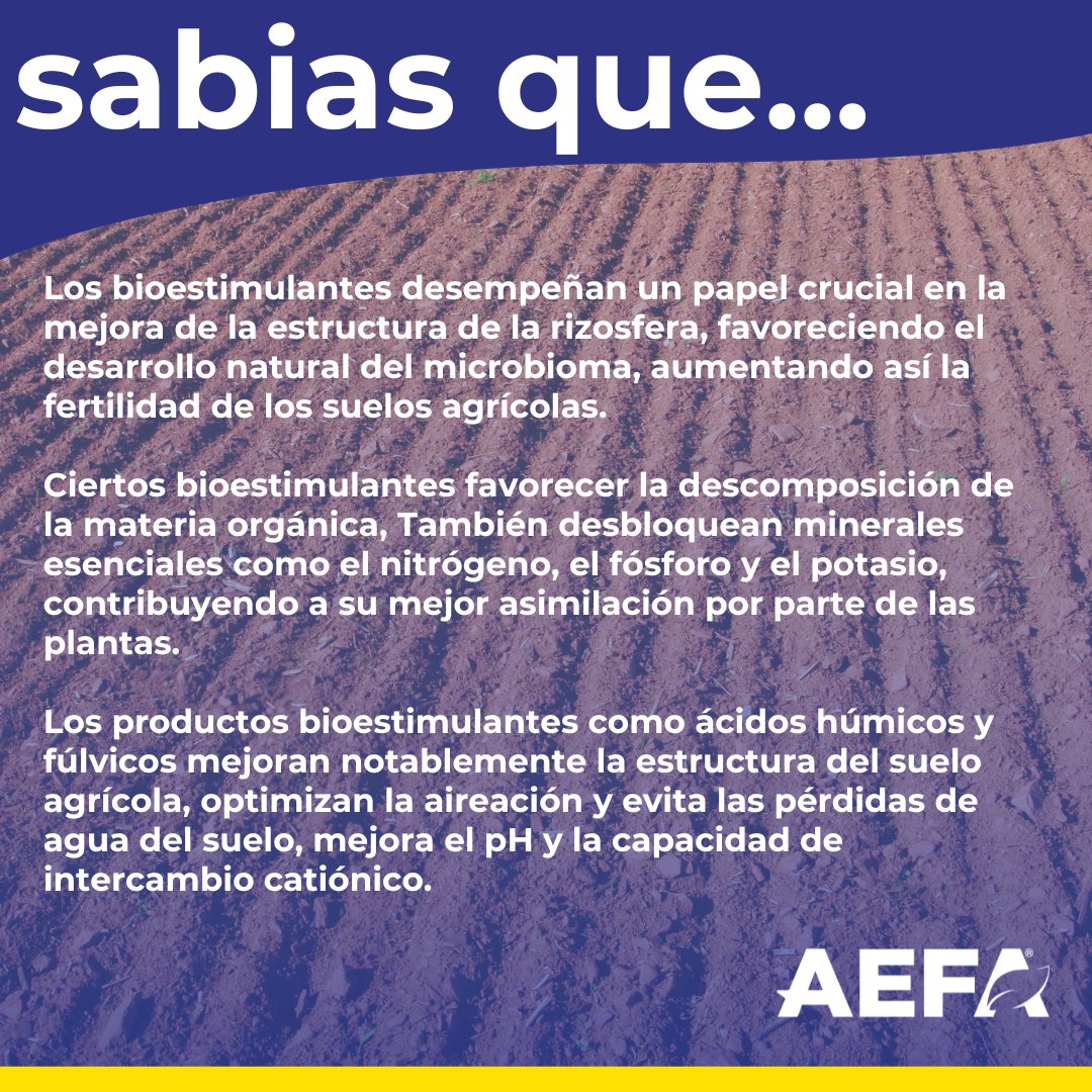 Los bioestimulantes desempeñan un papel crucial en la mejora de la estructura de la rizosfera y te contamos el porqué. #sabiasque #bioestimulante #rizosfera #suelo #agricultura