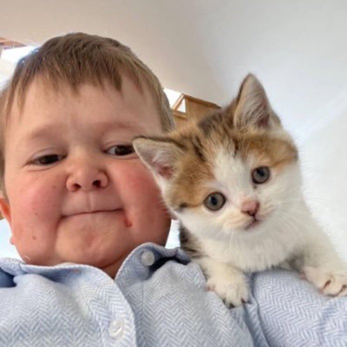 BREAKING: It looks like <a href="/binance/">Binance</a> and <a href="/coinbase/">Coinbase 🛡️</a> are accumulating on $BARSIK 

Listing imminent